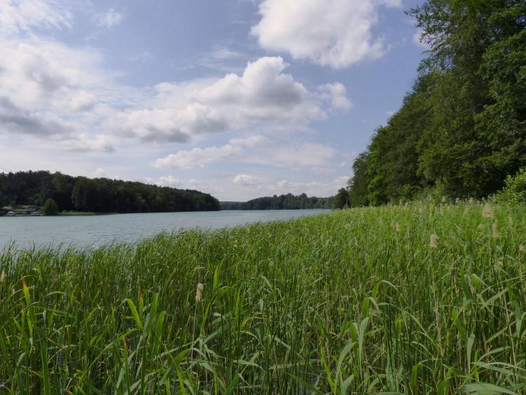 Freizeitclubs sommerhafte Wanderung rund um den Liepnitzsee